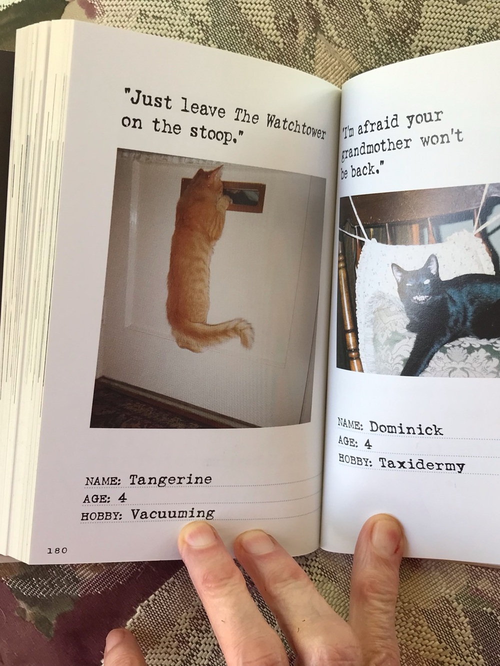 Bad Cat Book - Picture 9 of 10